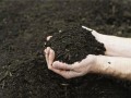 甘肃临泽：大力增施有机肥 提升耕地质量